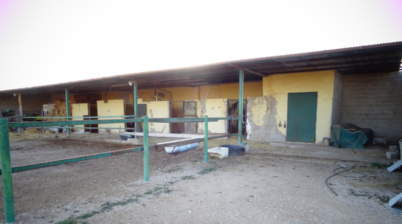 Alicante - Aspe - 3600m2