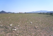 Terreno no urbanizable en venta en la España, Pinoso, ref: TR32630 foto