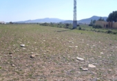 Terreno no urbanizable en venta en la España, Pinoso, ref: TR32630 foto