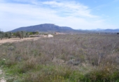 Non-developable land for sale on España, Pinoso, ref: TR32629 photo
