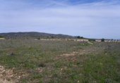 Non-developable land for sale on España, Pinoso, ref: TR32629 photo