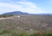 Non-developable land for sale on España, Pinoso, ref: TR32629 photo