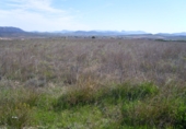 Non-developable land for sale on España, Pinoso, ref: TR32629 photo