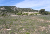 Non-developable land for sale on España, Pinoso, ref: TR32629 photo
