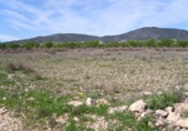 Non-developable land for sale on España, Pinoso, ref: TR32629 photo