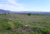 Non-developable land for sale on España, Pinoso, ref: TR32629 photo