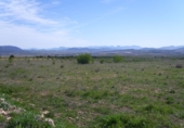 Parcel·la urbanitzable en venda a la España, el Pinós, ref.: TR65195 foto