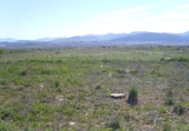 Parcel·la urbanitzable en venda a la España, el Pinós, ref.: TR65195 foto