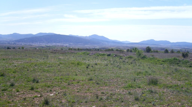 Murcia - Raspay - 150000m2