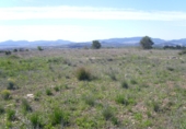 Parcel·la urbanitzable en venda a la España, el Pinós, ref.: TR65195 foto