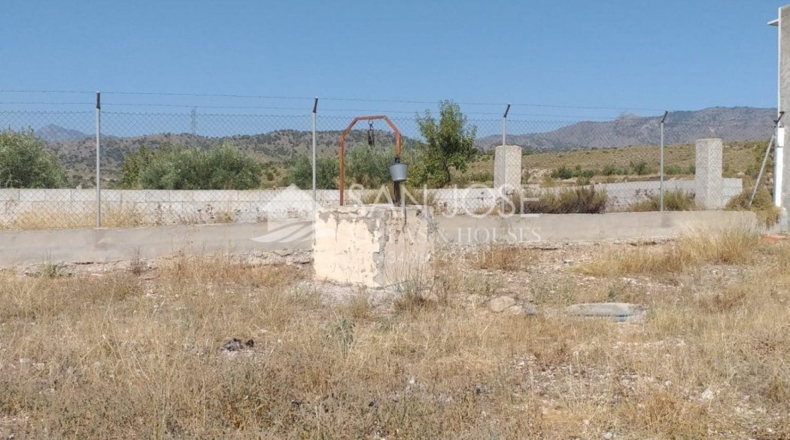 Murcia - Abanilla - 600m2