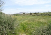 Finca rústica en venda a la España, Asp, ref.: TR3073 foto