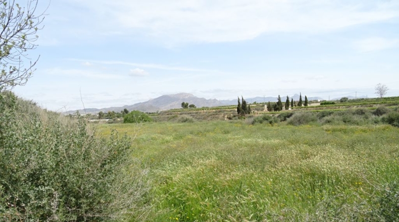 Alicante - La Columna - 60000m2