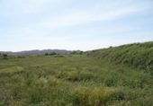 Finca rústica en venda a la España, Asp, ref.: TR3073 foto