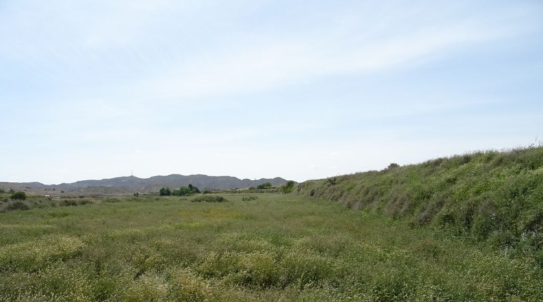 Alicante - La Columna - 60000m2