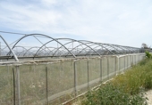 Finca rústica en venda a la España, Asp, ref.: TR3073 foto