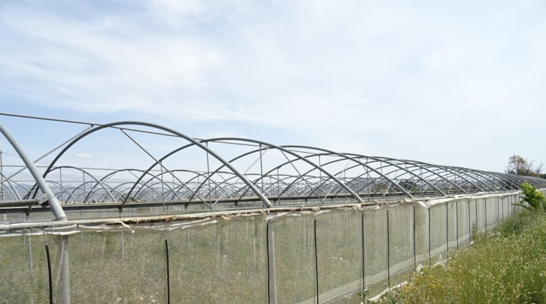 Alicante - La Columna - 60000m2