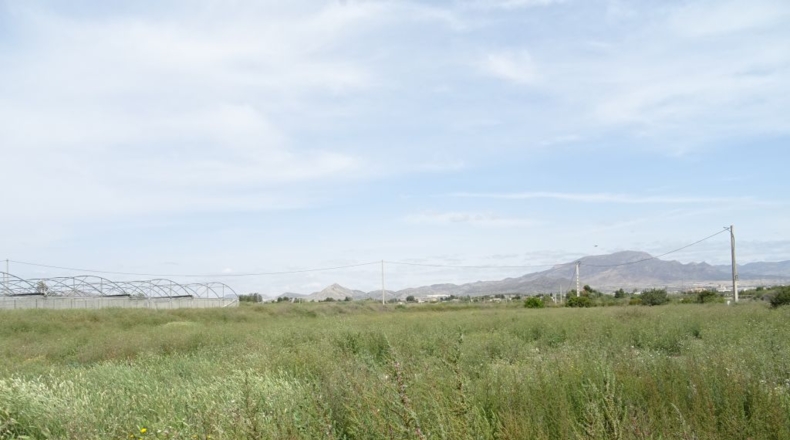 Alicante - La Columna - 60000m2