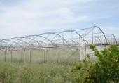 Finca rústica en venda a la España, Asp, ref.: TR3073 foto