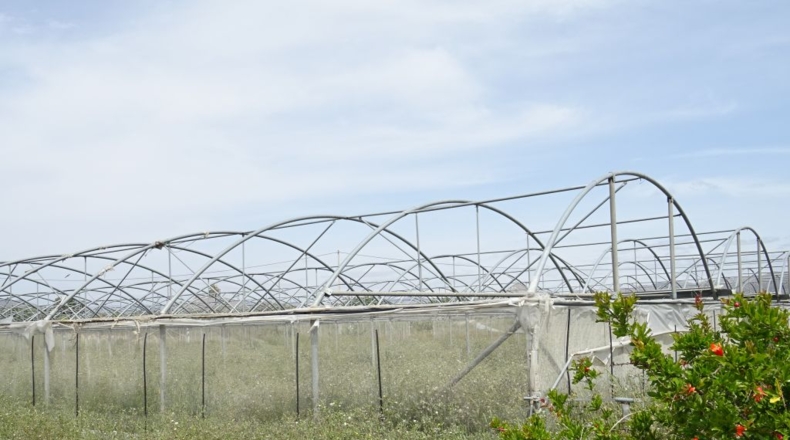 Alicante - La Columna - 60000m2