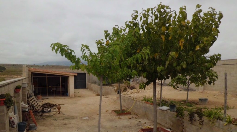 Alicante - Pinoso - 2000m2