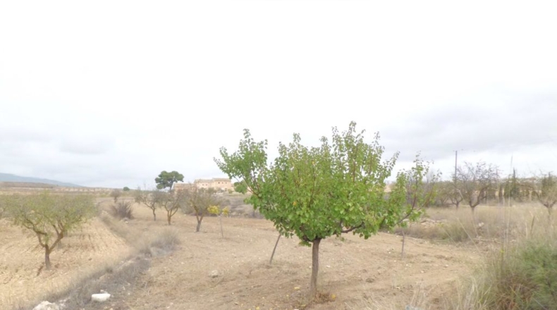 Alicante - Pinoso - 2000m2