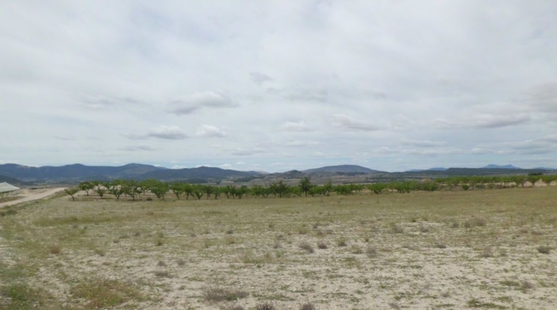 Alicante - Pinoso - 14350m2