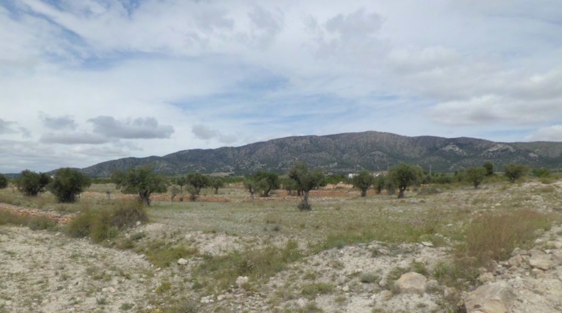 Alicante - Pinoso - 14350m2