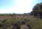 Terreno no urbanizable en venta en la España, Pinoso, ref: TR32623 foto