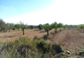 Terreno no urbanizable en venta en la España, Pinoso, ref: TR32623 foto