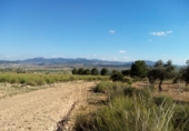 Terreno no urbanizable en venta en la España, Pinoso, ref: TR32623 foto