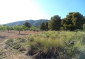 Terreno no urbanizable en venta en la España, Pinoso, ref: TR32623 foto