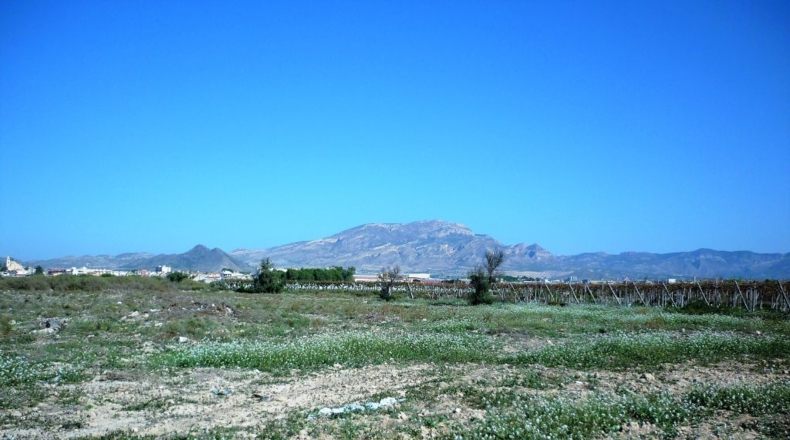 Alicante - La Cruz - 6764m2