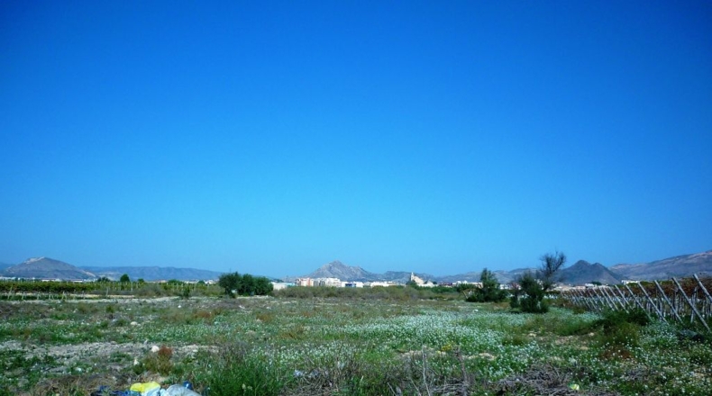 Alicante - La Cruz - 6764m2
