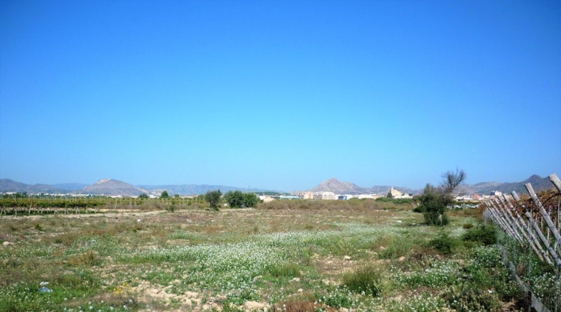 Alicante - La Cruz - 6764m2