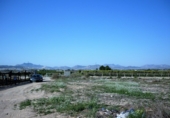 Terreny no urbanitzable en venda a la España, Montfort, ref.: TR3029 foto