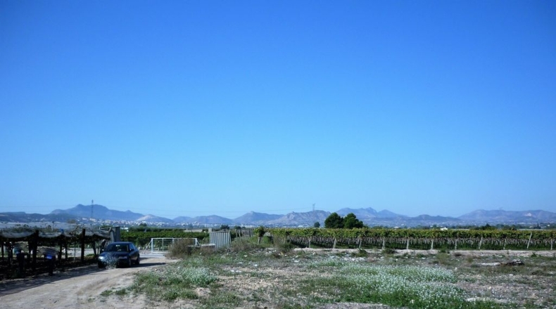 Alicante - La Cruz - 6764m2