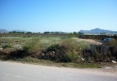 Terreny no urbanitzable en venda a la España, Montfort, ref.: TR3029 foto