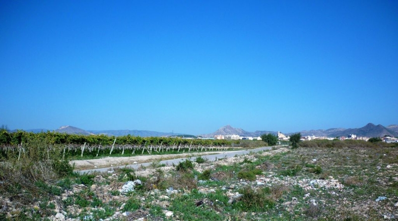 Alicante - La Cruz - 6764m2