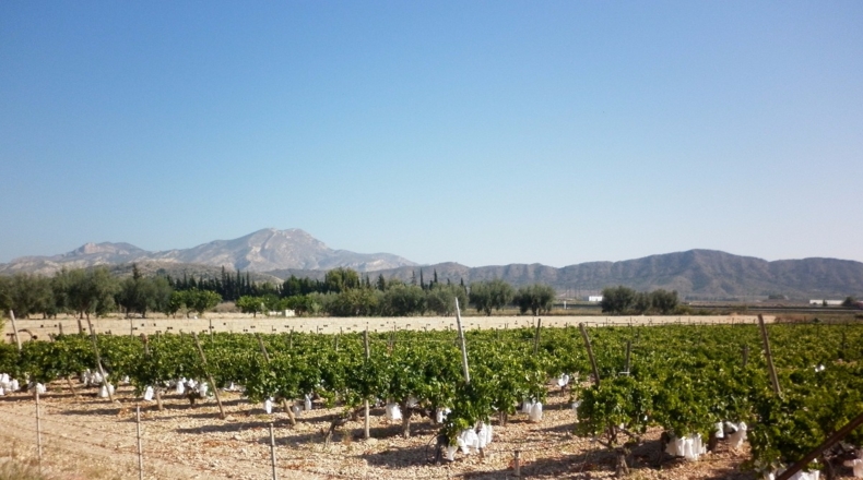 Alicante - Barrio de la Estación - 6318m2