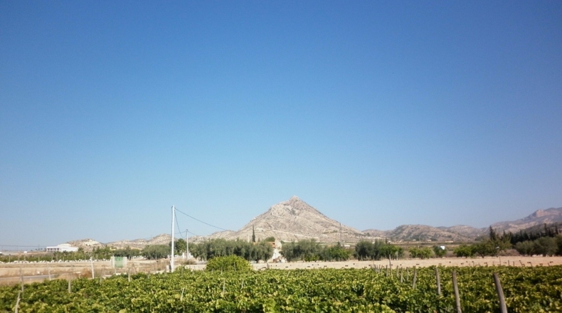 Alicante - Barrio de la Estación - 6318m2