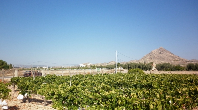 Alicante - Barrio de la Estación - 6318m2