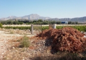Non-developable land for sale on España, Novelda, ref: TR3024 photo