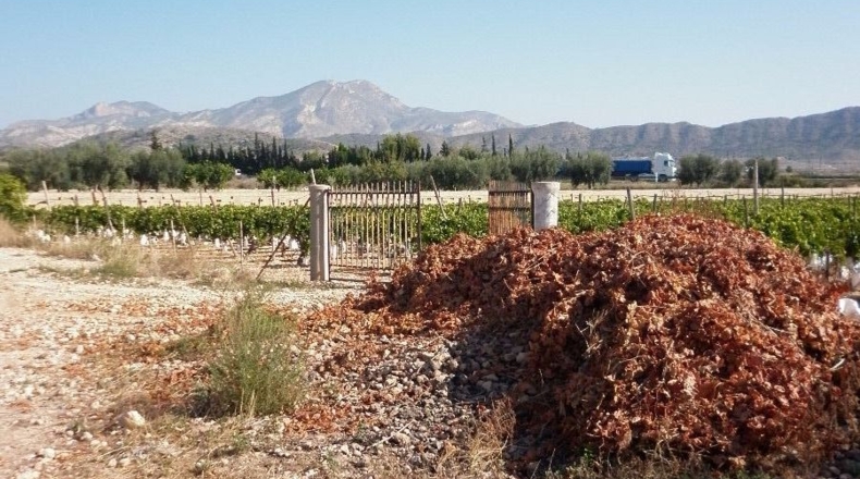 Alicante - Barrio de la Estación - 6318m2