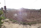 Casa de campo con terreno en venta en la España, Aspe, ref: TR17089 foto