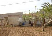 Casa de campo con terreno en venta en la España, Aspe, ref: TR17089 foto