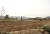 Casa de campo con terreno en venta en la España, Aspe, ref: TR17089 foto