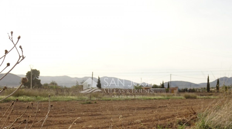 Alicante - Aspe - 16000m2