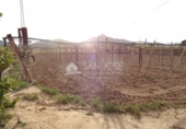 Casa de campo con terreno en venta en la España, Aspe, ref: TR17089 foto
