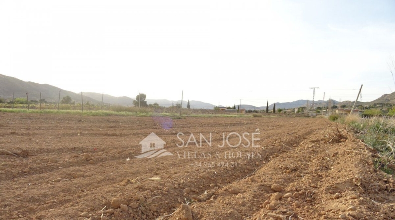 Alicante - Aspe - 16000m2
